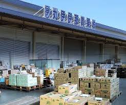 伊那青果